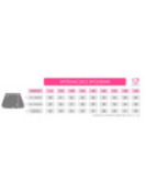 Skirted Shorts Cheer Star