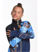 Sweatshirt Blue Rose